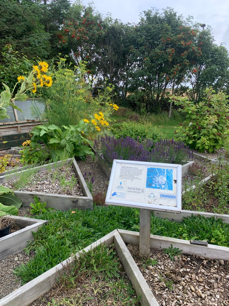 The botanical garden